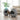 cat litter box