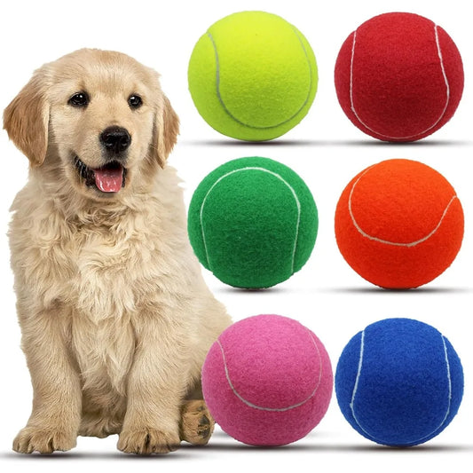 Magicorange Large 4 Inch Tennis Balls For Dogs Pack Of 6