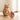 Cat Interactive Ball Toys