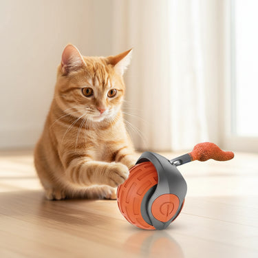 Cat Interactive Ball Toys
