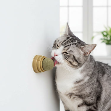 Catnip Mint Balls – 2–6 Pack