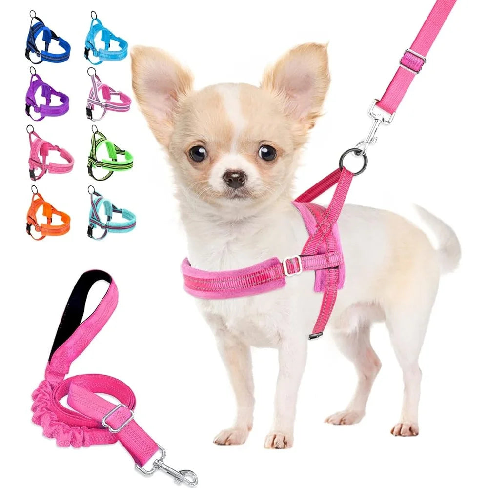 Soft Padded Reflective Dog Harness Leash Set Small Dogs 4ft