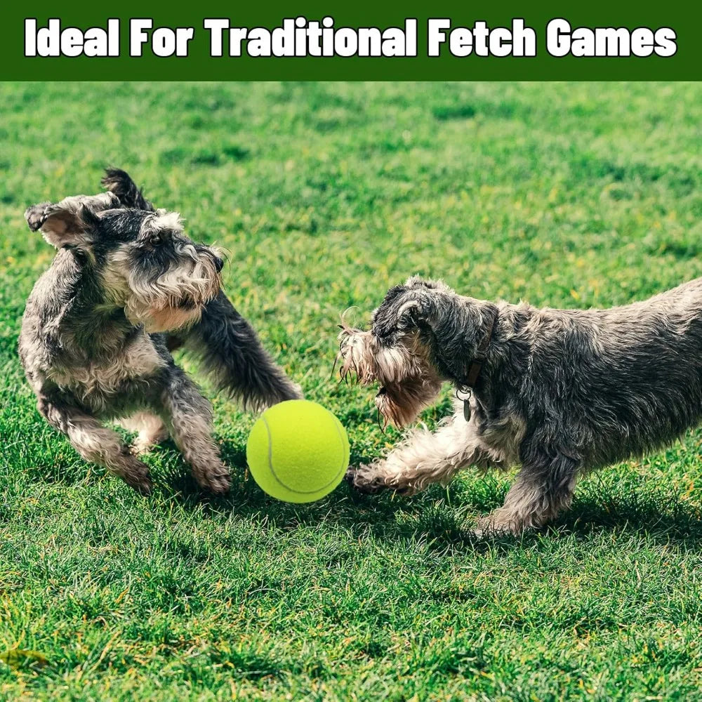 Magicorange Large 4 Inch Tennis Balls For Dogs Pack Of 6