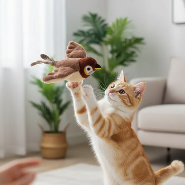 Catnip Interactive Bird