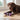 Pet Leaky Puzzle Dog Toy