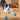 pet interactive toy