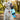 dog water bottle