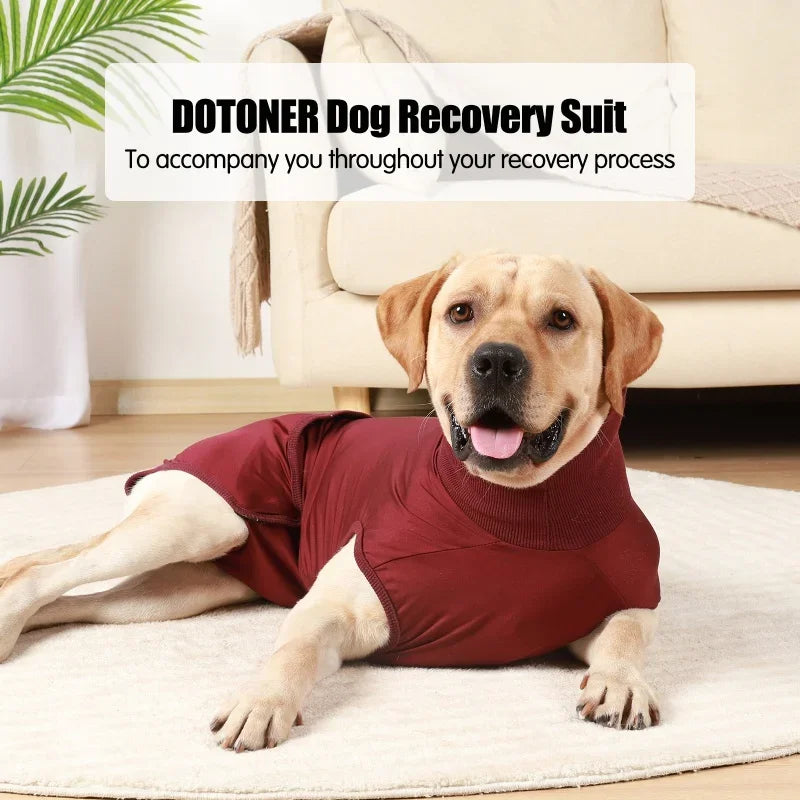 Recovery Shirt For Dogs Cats After Surgery Abdominal Wounds