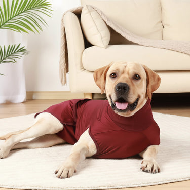 Recovery Shirt For Dogs