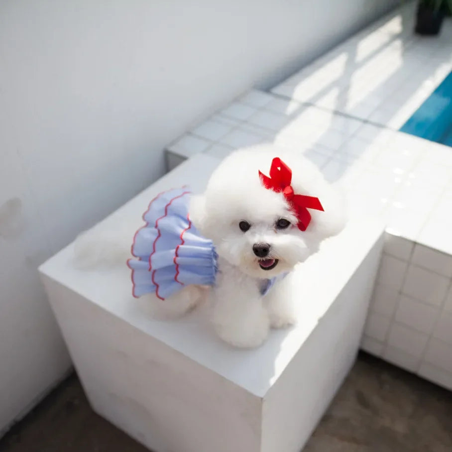 Pet Princess Summer Dog Dress One Piece Skirt For Dogs