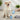 dog paw cleaner