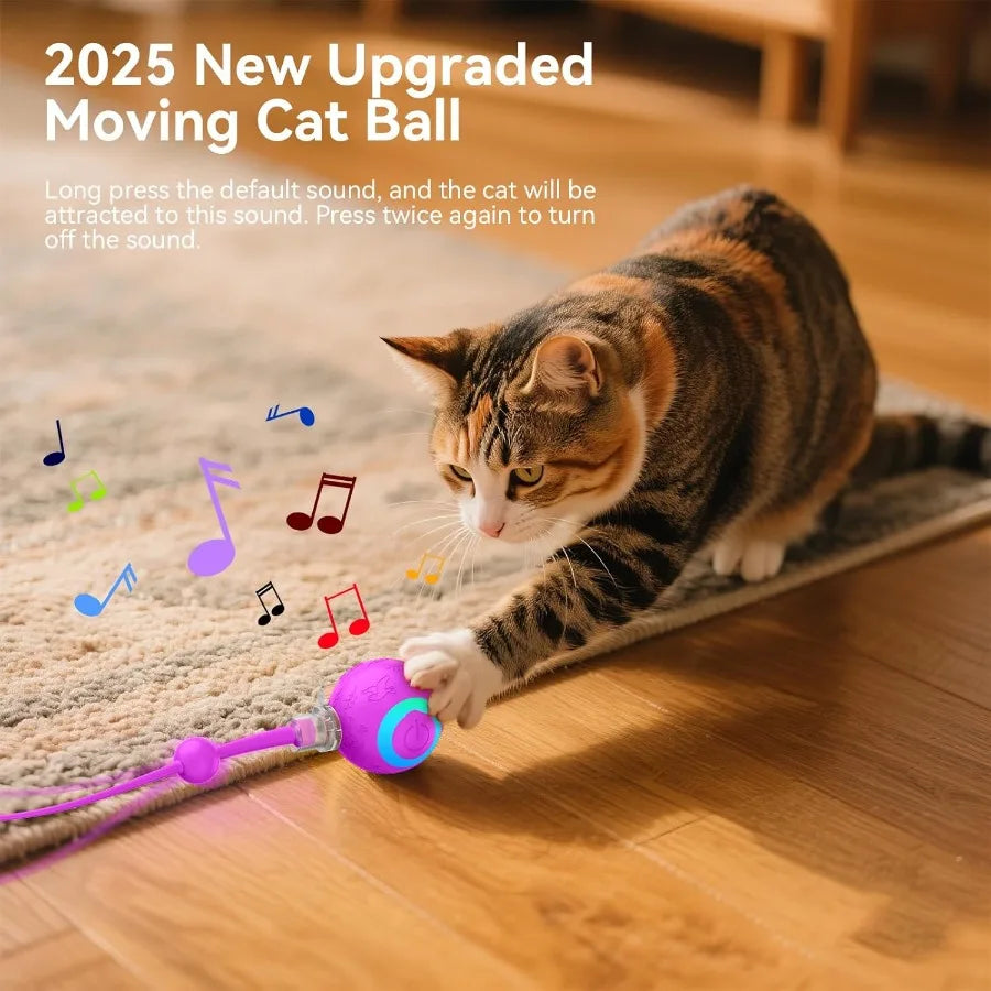 Interactive Indoor Cat Toy Ball Motion Activated USB Purple