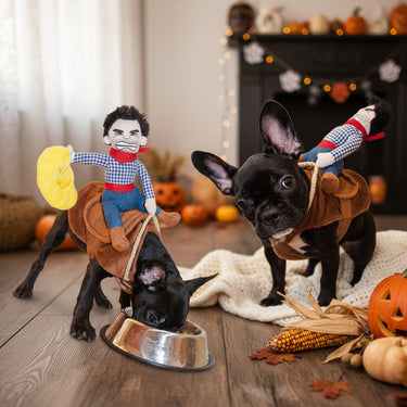 dog jackets
