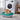 Cats Litter Box
