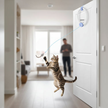 Door Hanging Cat Toy