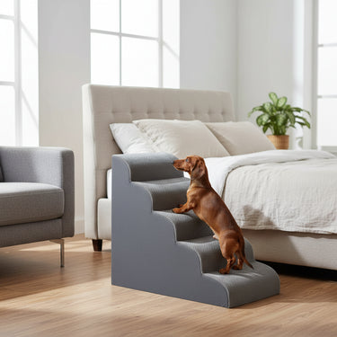 Grey Dog Stairs