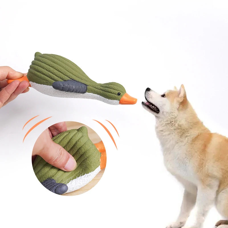 Squeaky Penguin Rubber Dog Toy Bite Resistant Interactive