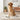 slicker brush for dogs