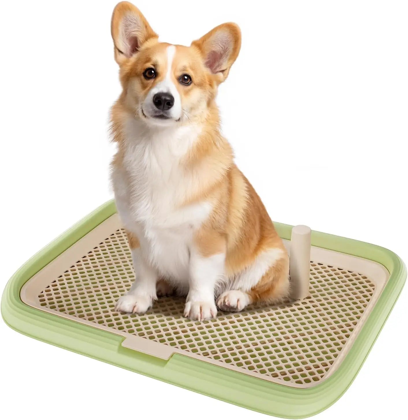 Dog Potty Tray Indoor Pad Holder Puppy Training Litter Box