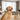 FUNAMEI Pet Hair Brush