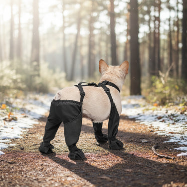 Dog Boots Leggings