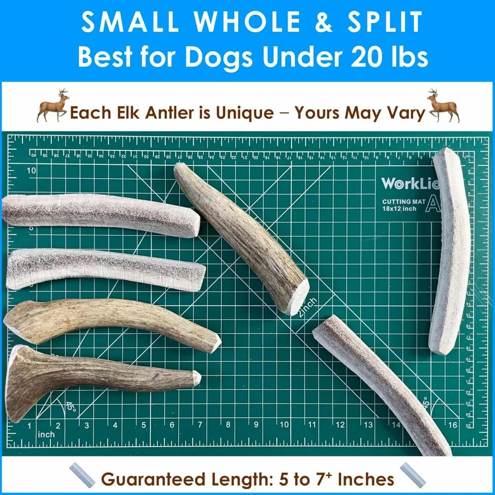 Elk Antler Dog Chews 1Lb For Small Dogs 5 To 7 Inches