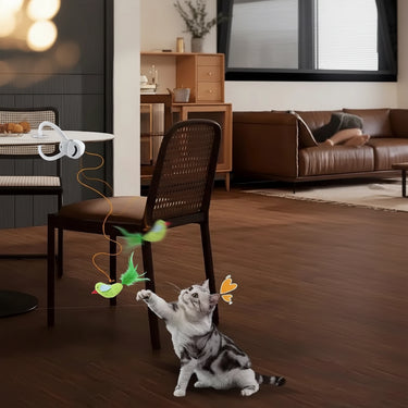 Interactive Cats Toys