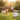 dogs ball launcher