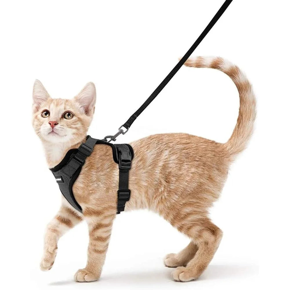 Escape Proof Cat Harness Leash Adjustable Outdoor Vest
