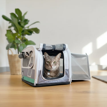 cat carrier