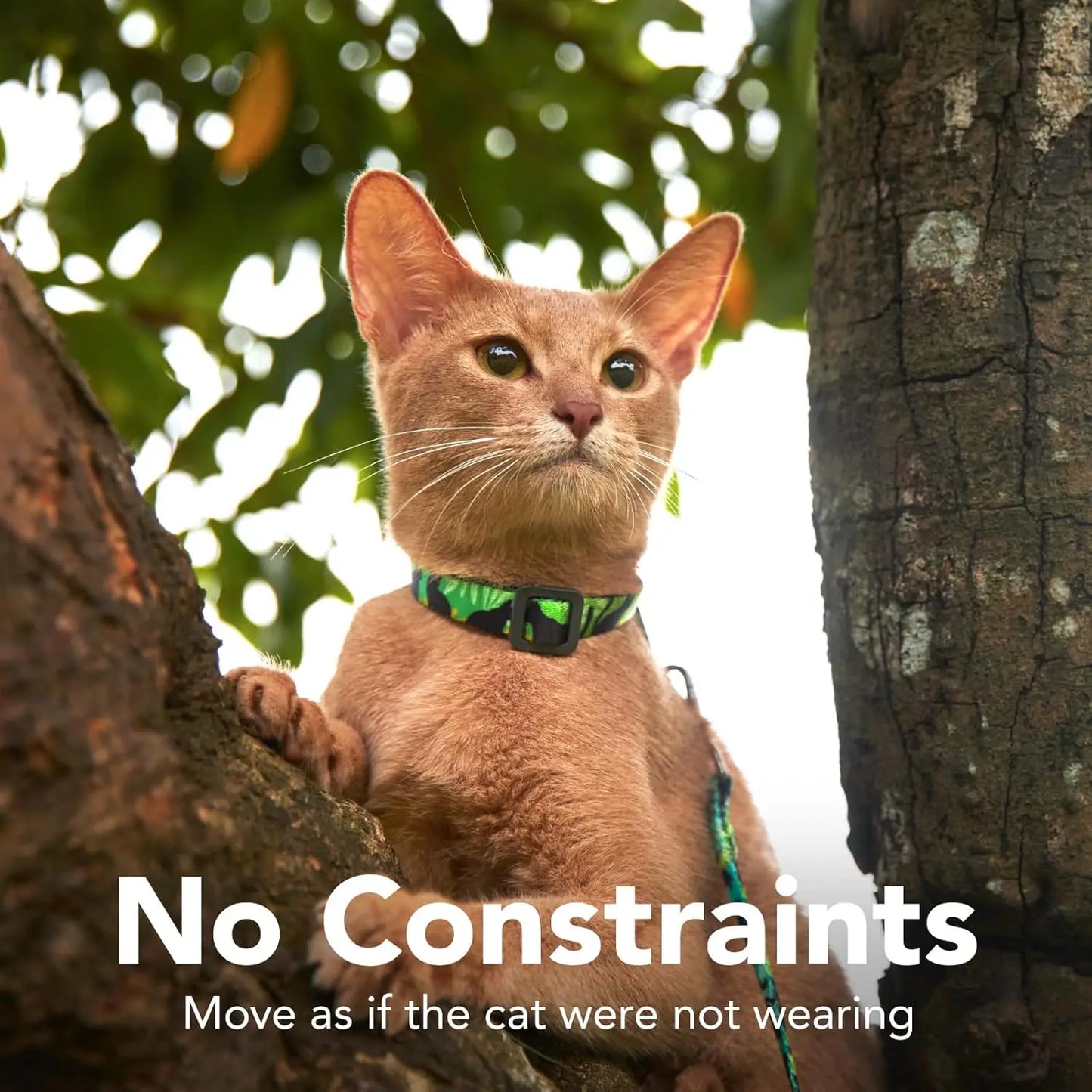 Green Cat Harness And Leash Set Escape Proof All Sizes