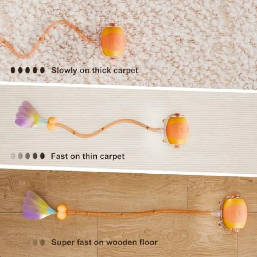 Interactive Cat Ball Toy For Indoor Cats 4th Gen Agile