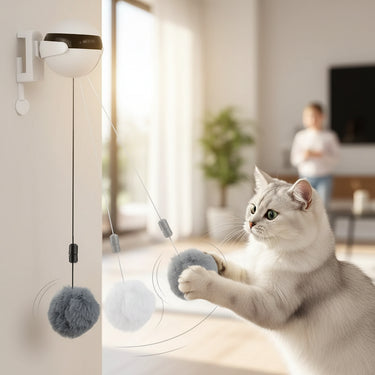 Cat Toy Ball YoYo