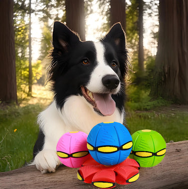 Flying Saucer Ball Dog Toy