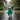 Dog Raincoat