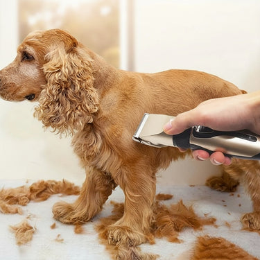 Dog grooming hair clipper kit