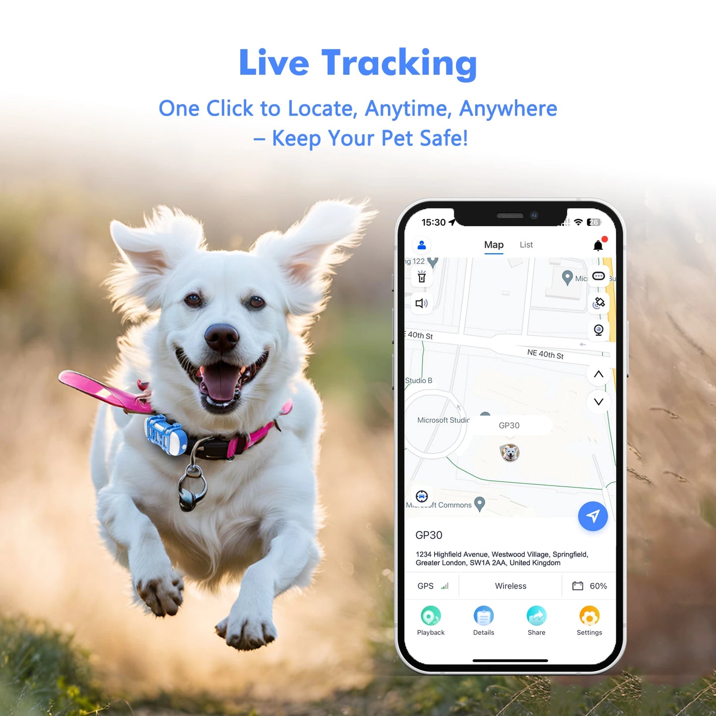 4G Mini Cat GPS Tracker Waterproof Pet Locator Android iOS