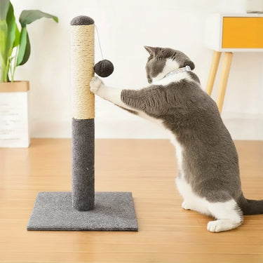 Cats Scratching Post