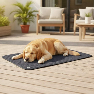 dog cooling mat