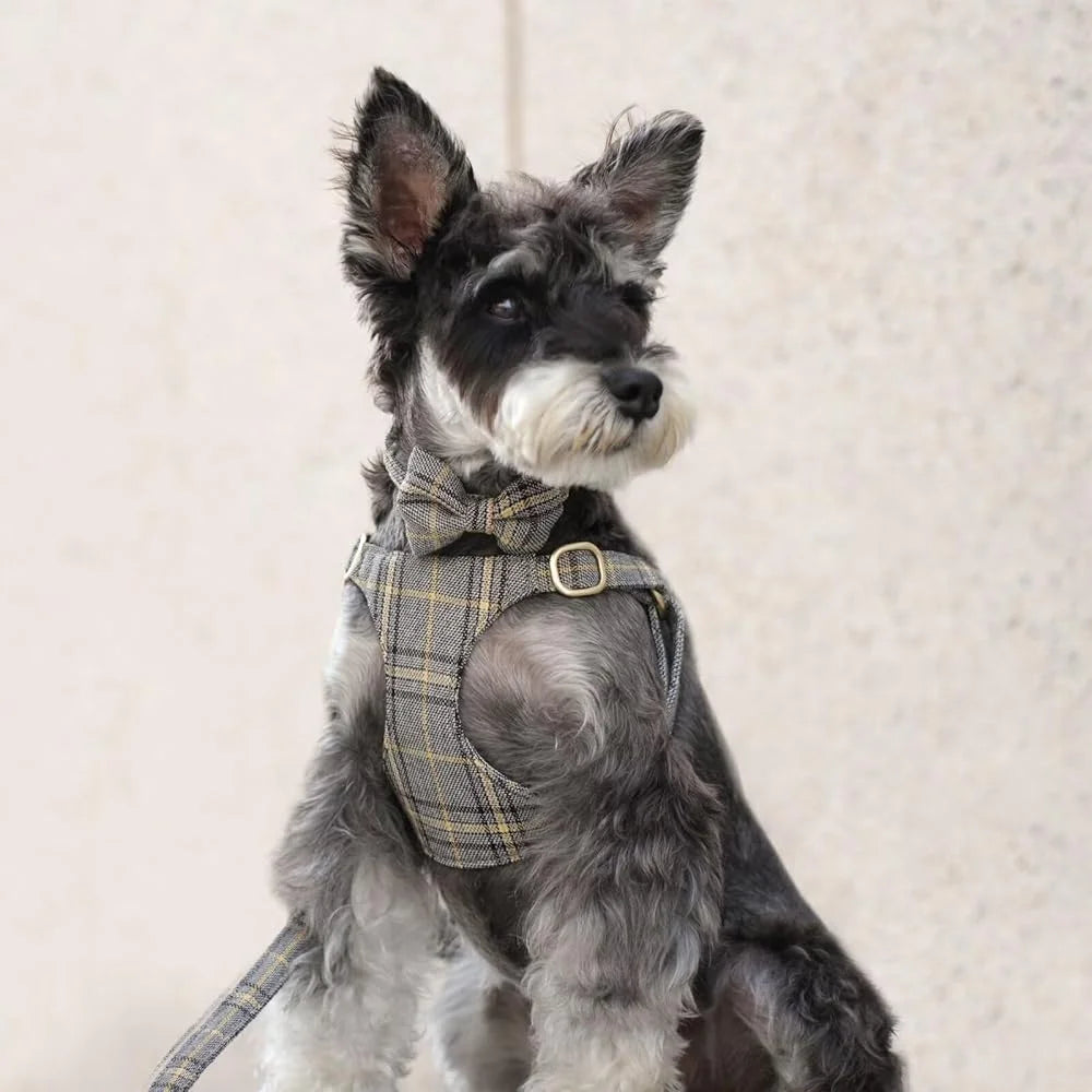 Cute Small Dog Harness Adjustable Plaid Collar Leash Bowtie