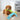 Pets Dog Squeaky Toy