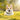 DOG SUPPLIES