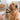 slicker brush for dogs