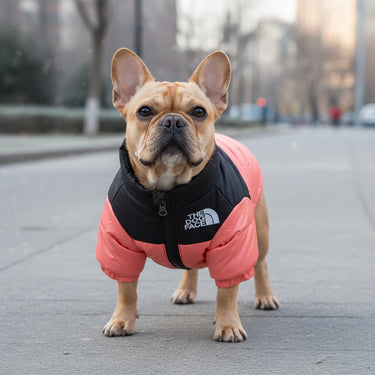 Winter Dog Jacket