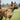 best shock collars for dogs