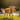  dog ball