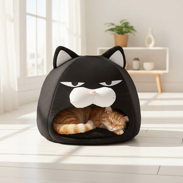 Foldable Cats Houses