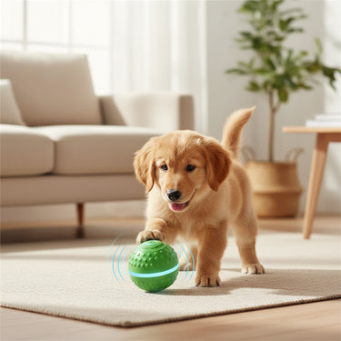 Automatic Interactive Dog Toy Ball