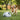 dogs ball launcher