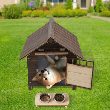Pet House & Dog House